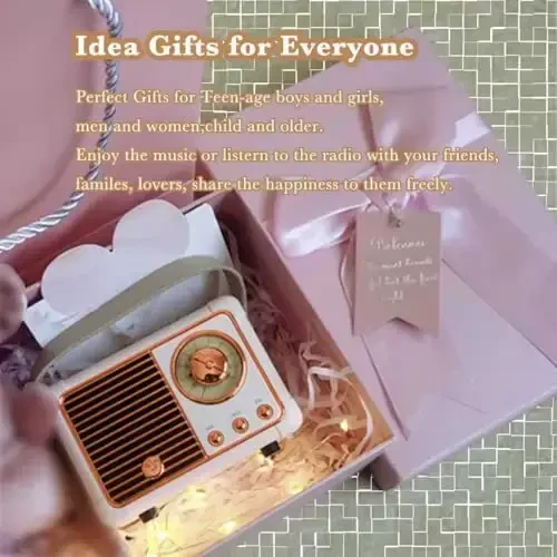 QUEQIMU Retro Bluetooth Speaker, Wireless Radio Vintage Speaker Indoor Outdoor Portable Small Bluetooth Speaker Support USB/TF Card/AUX Speaker (Pink) HM11 - 6