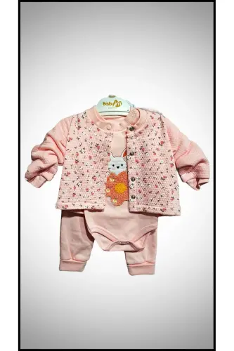 Rabbit Embroidered 3-Piece Baby Girl Onesie Set - 1