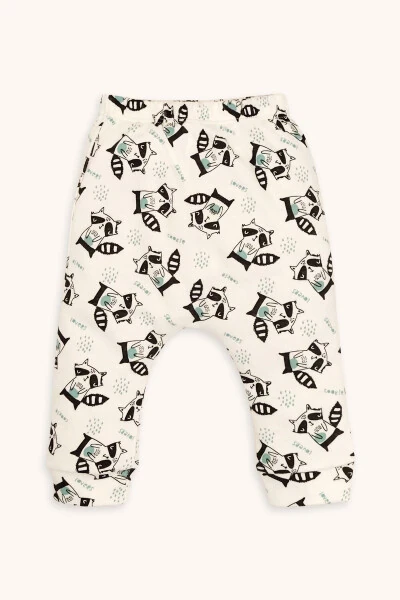 Raccoon Print Long Sleeve Snap Bodysuit Pants And Hat 3 Piece Set - 3