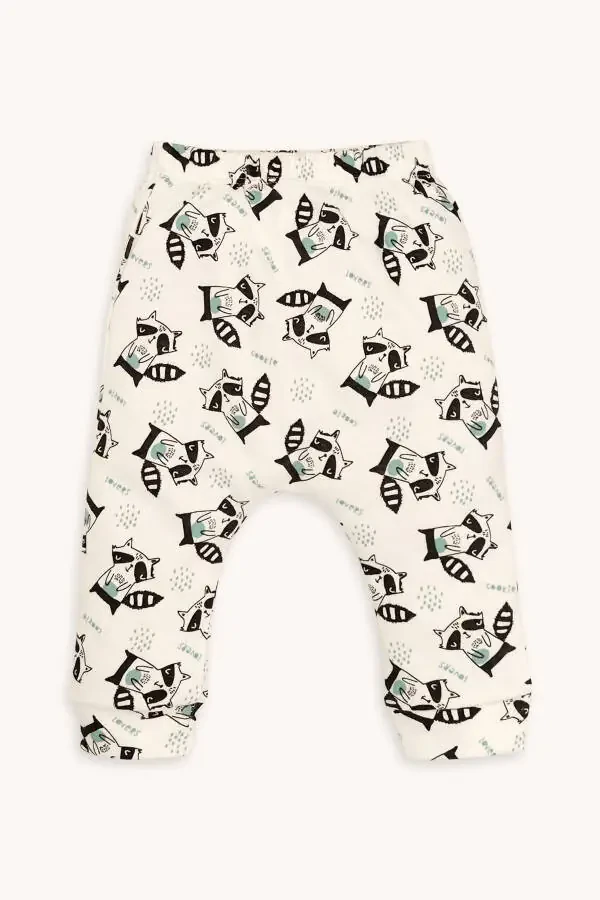 Raccoon Print Long Sleeve Snap Bodysuit Pants And Hat 3 Piece Set - 3