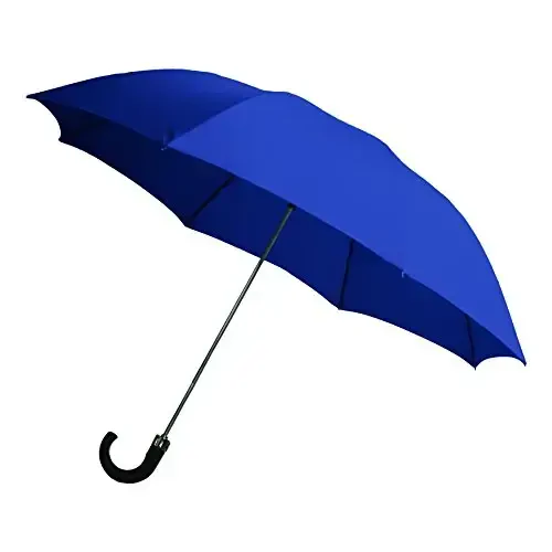 Rainbrella 2-Fold Auto Open Umbrella - 1