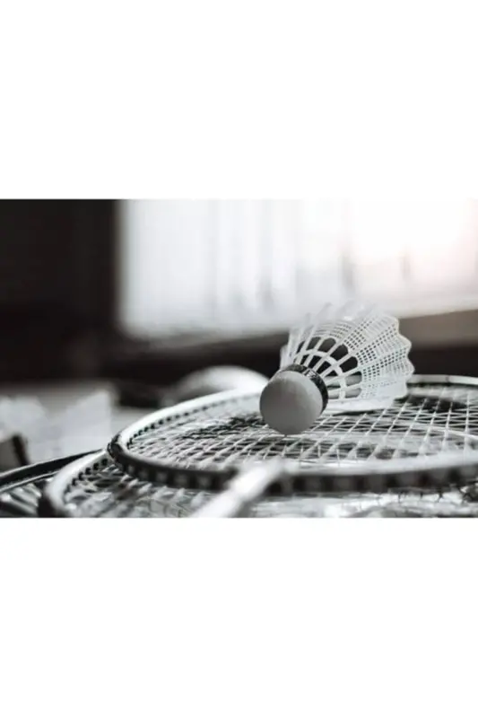 Raket toʻplami 2 ta badminton raketkasi 1 ta badminton toʻpi - 2