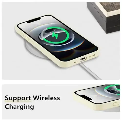 RALEAVO iPhone 16e uchun gul naqshli g'ilofi, qizlar va ayollar uchun chiroyli gul novdasi naqshli suyuq silikon qopqoq, iPhone 16e (6,1