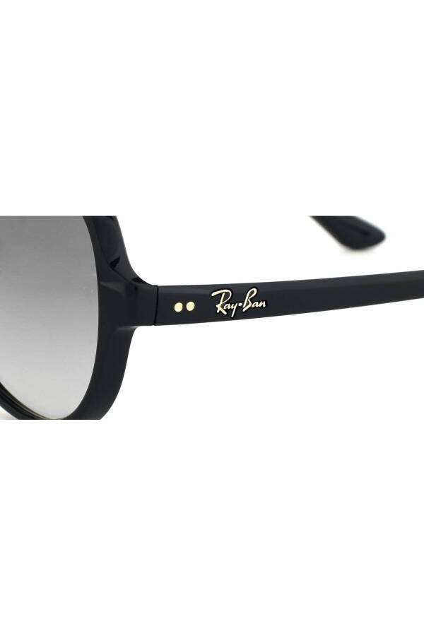 Ray-Ban Rb4125 Cats5000 601/3259 - 5