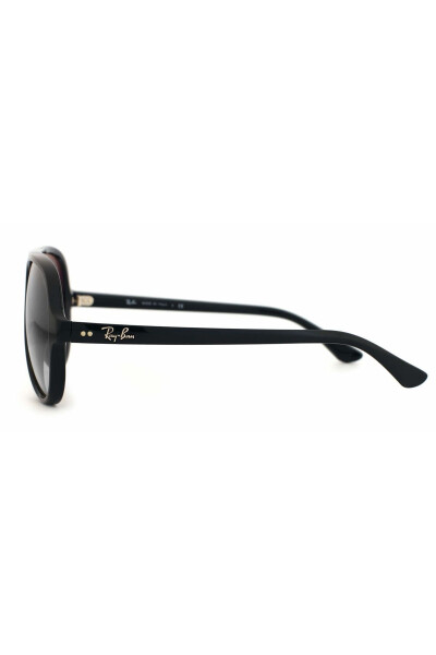 Ray-Ban Rb4125 Cats5000 601/3259 - 6