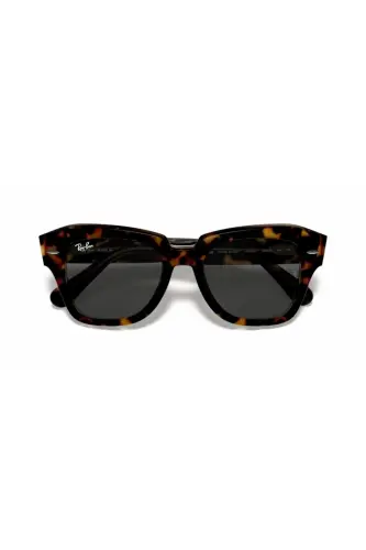 Rb 2186 1292b1 49 Unisex Sunglasses - 4
