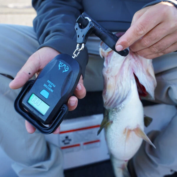 Realtree Fishing Digital Scale 99 lb. Capacity with Lip Gripper and LCD Display - 23