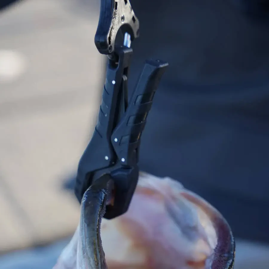 Realtree Fishing Digital Scale 99 lb. Capacity with Lip Gripper and LCD Display - 28