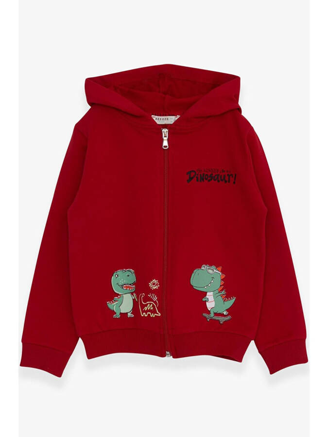 Red Dinosaur Skateboard Print Hoodie for Boys (1-3 Years Old) - 5