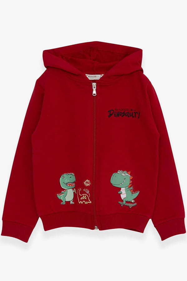 Red Dinosaur Skateboard Print Hoodie for Boys (1-3 Years Old) - 17