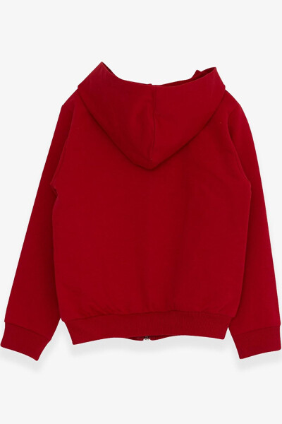 Red Dinosaur Skateboard Print Hoodie for Boys (1-3 Years Old) - 14