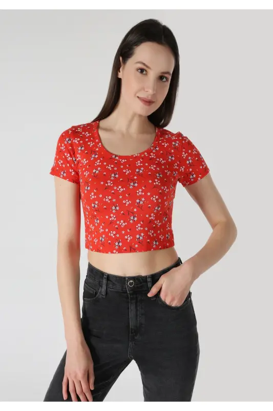 Red, slim fit, short-sleeved printed T-shirt for women - COLIN'S