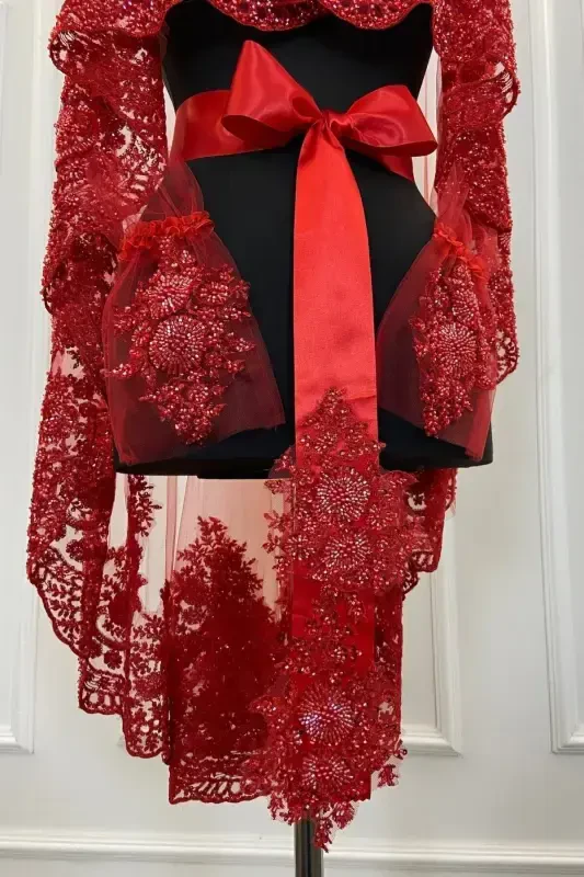 Red VIP Luxury Bridal Veil Set, Henna Night Veil with Wide Applique 6 Piece Set-Red - 4