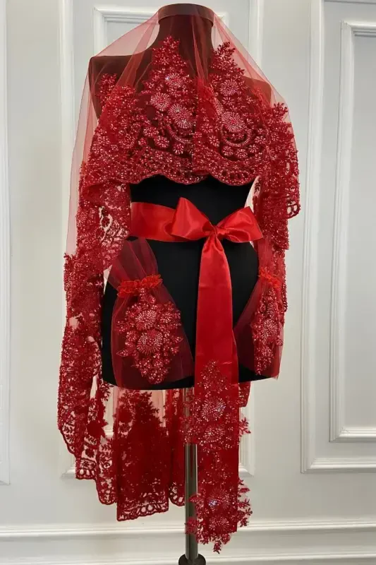 Red VIP Luxury Bridal Veil Set, Henna Night Veil with Wide Applique 6 Piece Set-Red - 6