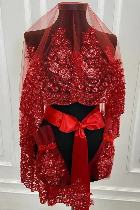 Red VIP Luxury Bridal Veil Set, Henna Night Veil with Wide Applique 6 Piece Set-Red - 7