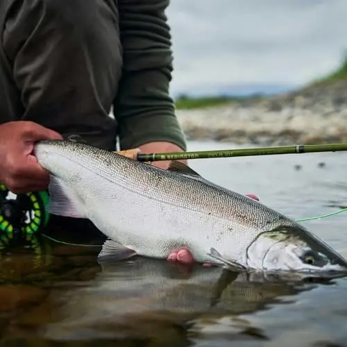 Redington Fly Fishing Field Kit, Fly Rod and Reel Combo Starter Kit, Line and Carrying Case Included - 5