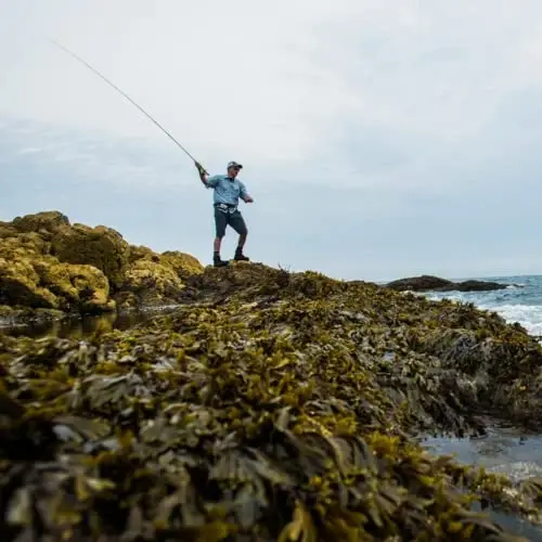 Redington Fly Fishing Field Kit, Fly Rod and Reel Combo Starter Kit, Line and Carrying Case Included - REDINGTON (1)