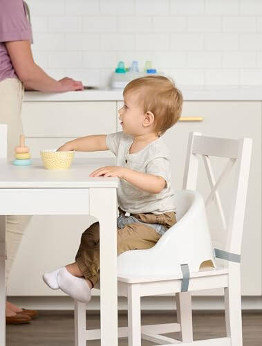 Regalo Baby Basics™ Booster Seat, White, Three-Point Safety Harness, Easily Wipeable, Sturdy & Durable Plastic - 1