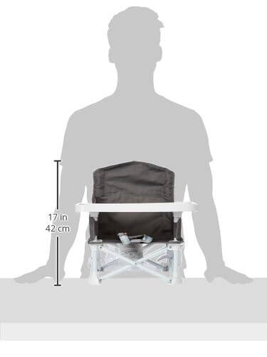 Regalo My Chair 2-in-1 Portable Travel Booster Seat & Activity Chair, Bonus Kit Includes, Oversized Removable Tray with Cup Holder, Gray - 25