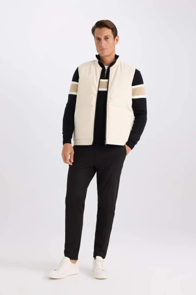 Regular Fit College Collar Zip-Up Double Pocket Seasonal Lightweight Thin Bomber Puffer Vest Stone - DEFACTO (1)