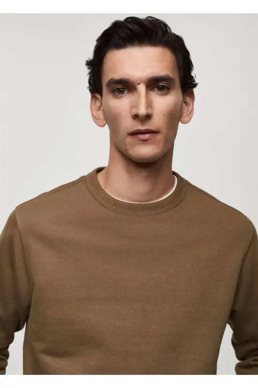 Regular fit cotton sweatshirt-Mid Brown - 7