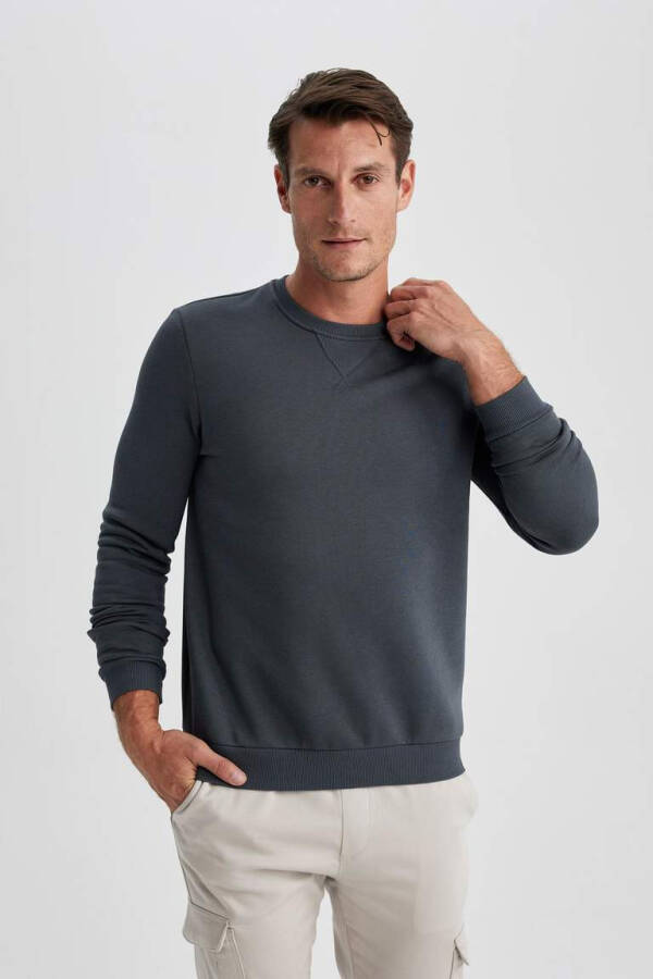 Regular Fit Crew Neck Basic Cotton Sweatshirt Anthracite - 10