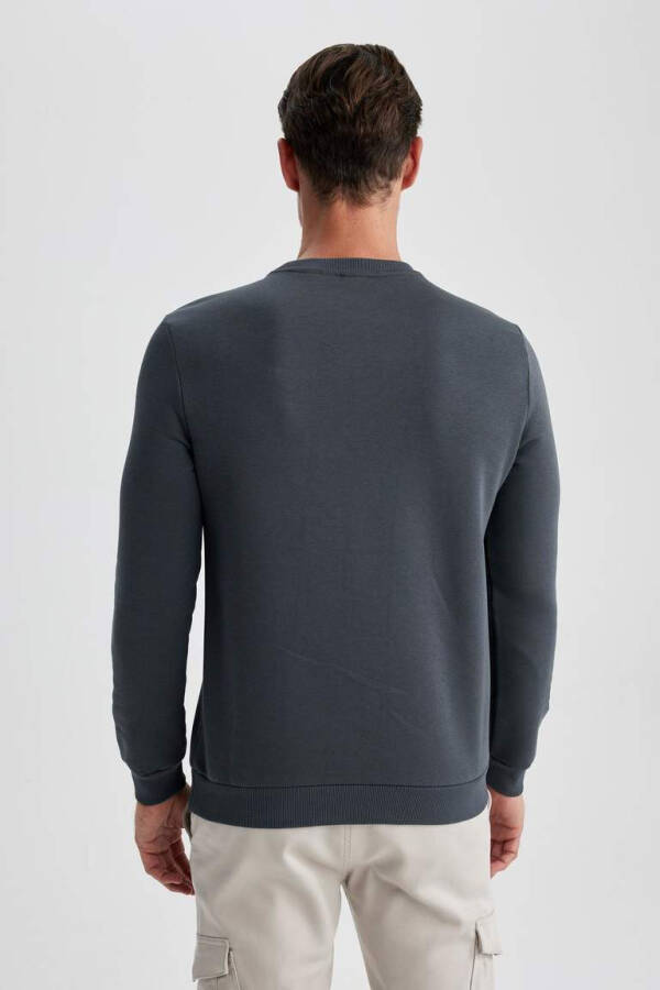 Regular Fit Crew Neck Basic Cotton Sweatshirt Anthracite - 14