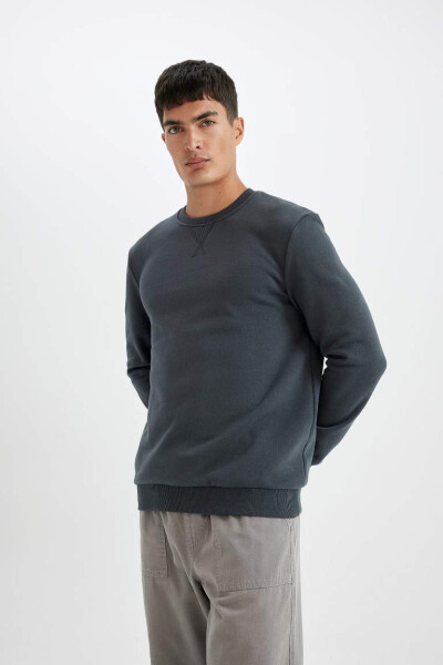 Regular Fit Crew Neck Basic Cotton Sweatshirt Anthracite - 1