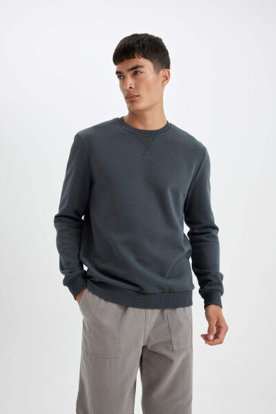 Regular Fit Crew Neck Basic Cotton Sweatshirt Anthracite - 3