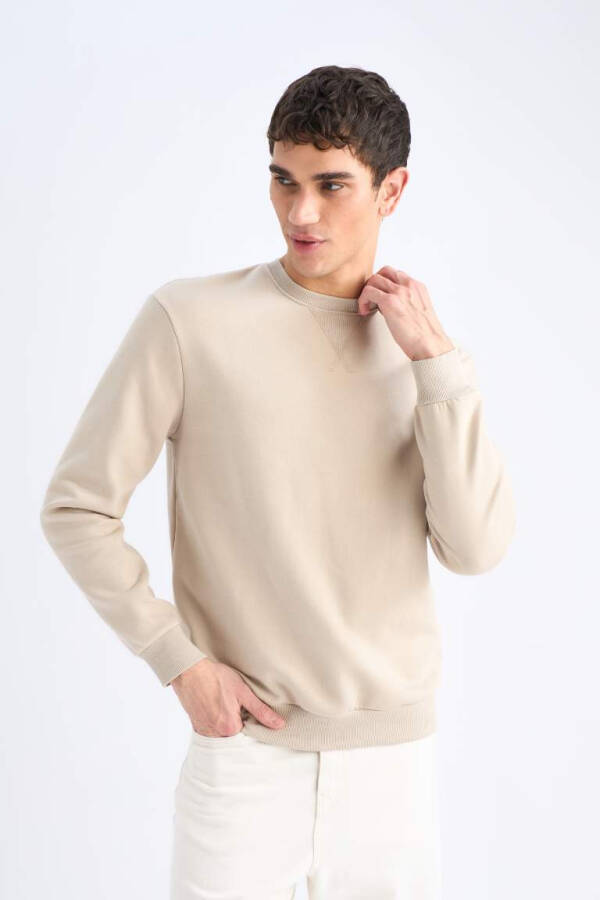 Regular Fit Crew Neck Basic Plain Thick Sweatshirt Stone - 3
