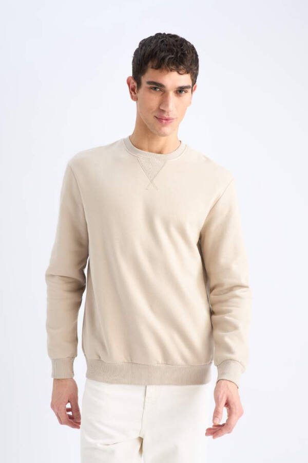 Regular Fit Crew Neck Basic Plain Thick Sweatshirt Stone - 4
