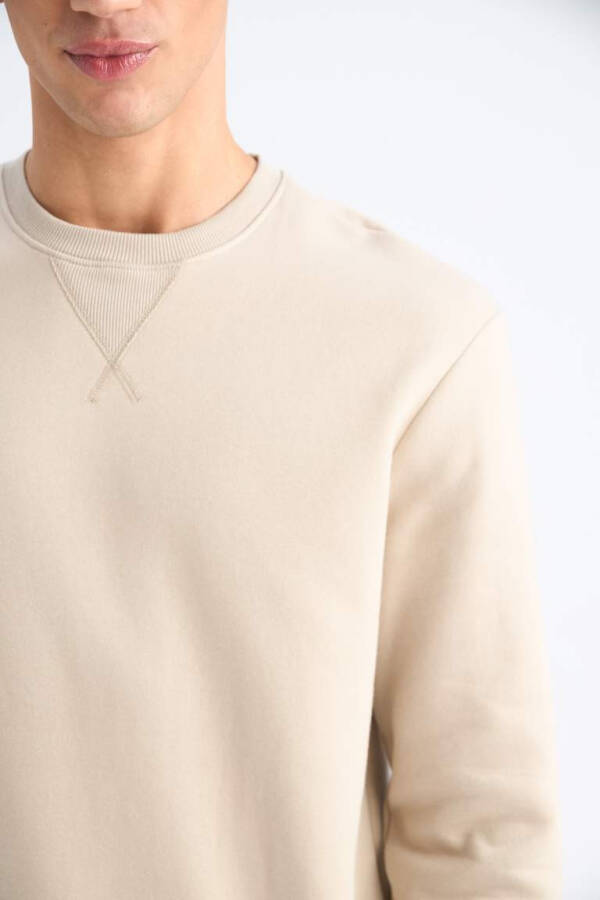 Regular Fit Crew Neck Basic Plain Thick Sweatshirt Stone - 5