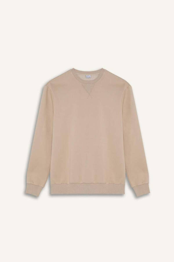 Regular Fit Crew Neck Basic Plain Thick Sweatshirt Stone - 7