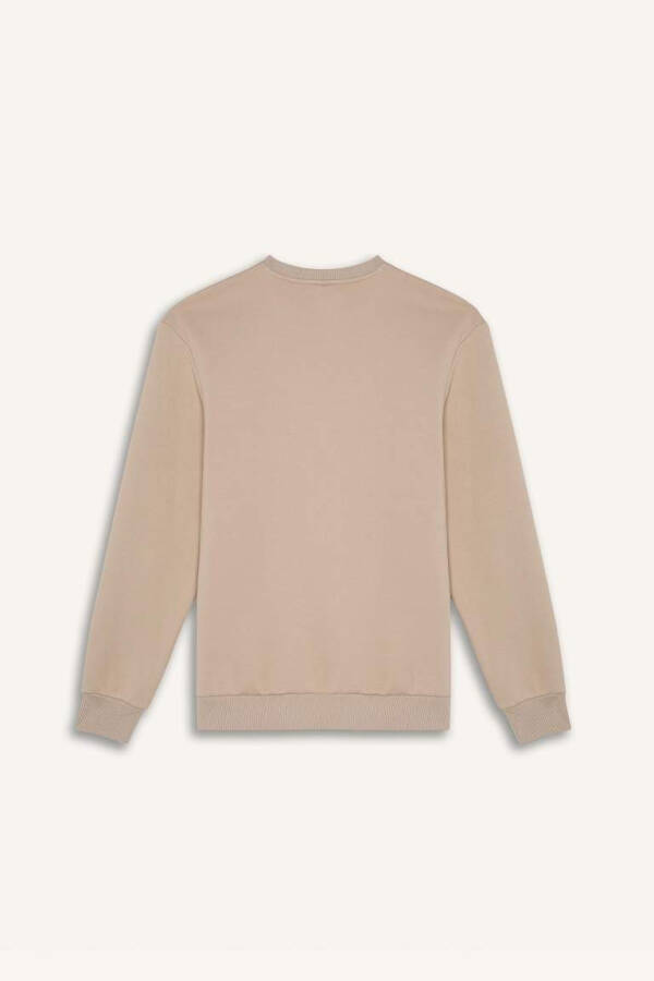 Regular Fit Crew Neck Basic Plain Thick Sweatshirt Stone - 9