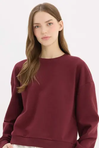 Regular Fit Crew Neck Thick Basic Plain Sweatshirt-Burgundy - 1