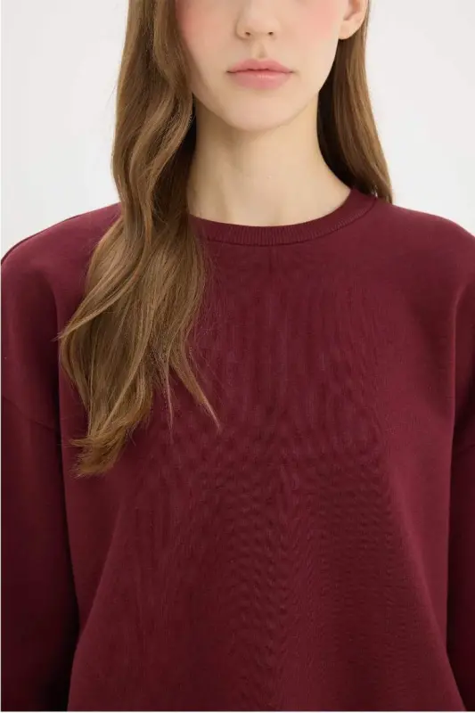Regular Fit Crew Neck Thick Basic Plain Sweatshirt-Burgundy - 5