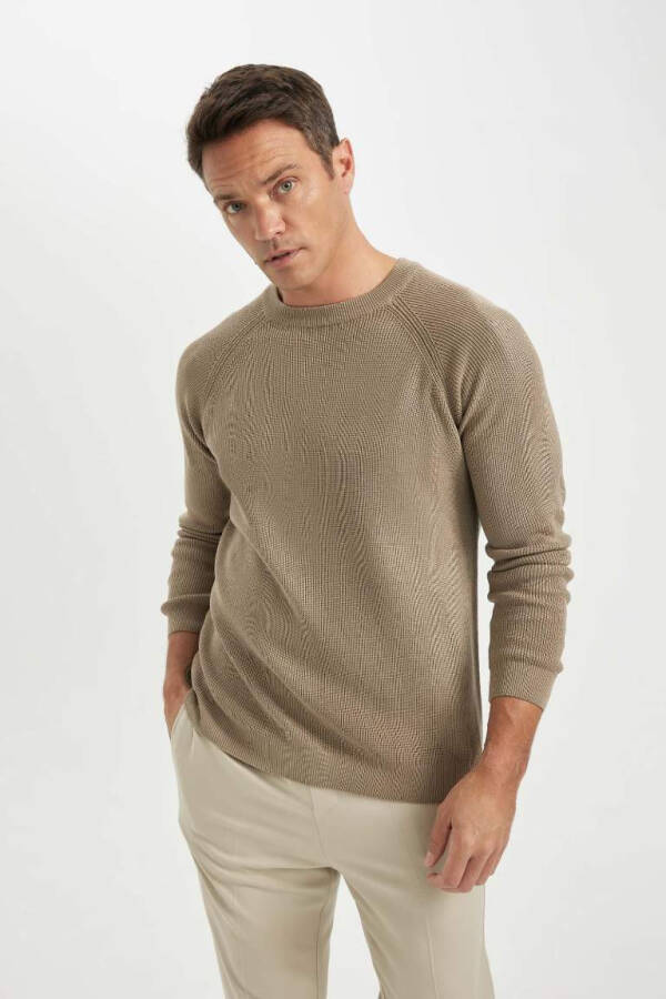 Regular Fit Crewneck Basic Plain Knit Sweater Beige - 1