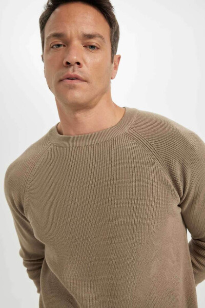 Regular Fit Crewneck Basic Plain Knit Sweater Beige - 4