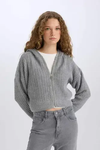 Regular Fit Kapüşonli Fermuarli Triko Xirka-Kulrang - 1