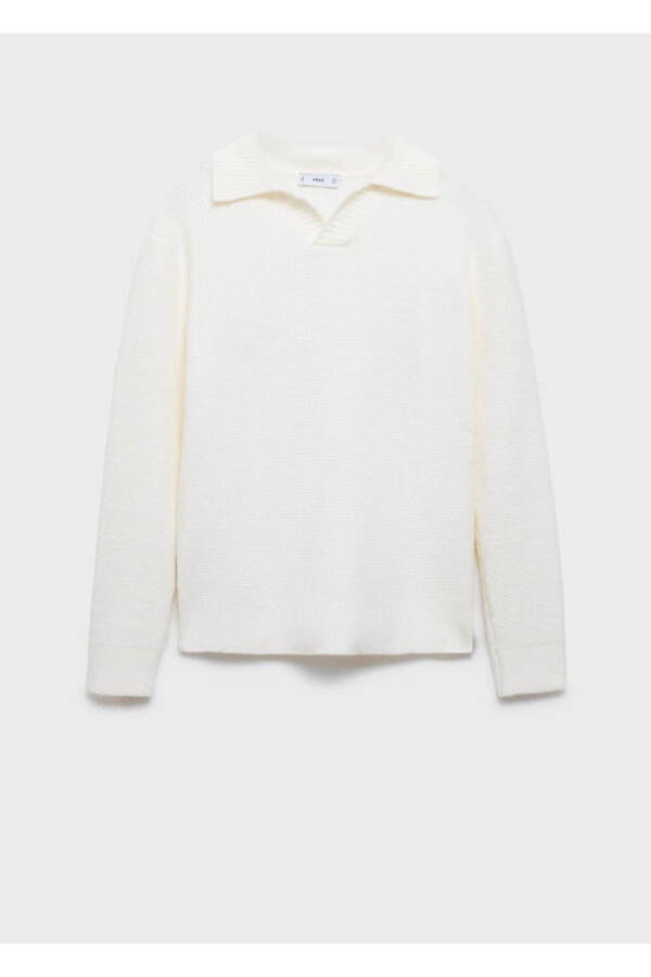 Regular Fit Knitted Polo Shirt - 3