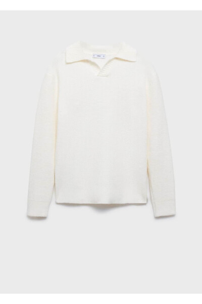 Regular Fit Knitted Polo Shirt - 3