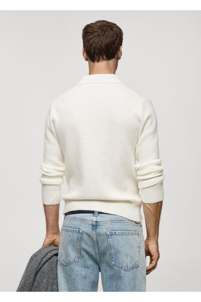 Regular Fit Knitted Polo Shirt - 4