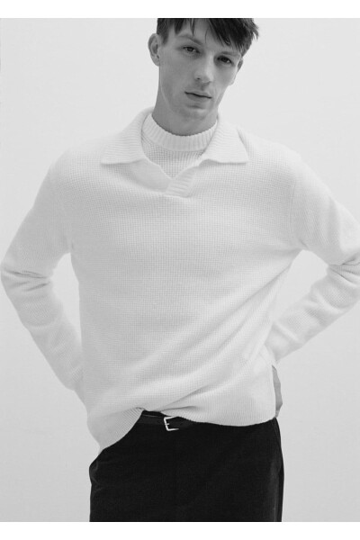 Regular Fit Knitted Polo Shirt - 8