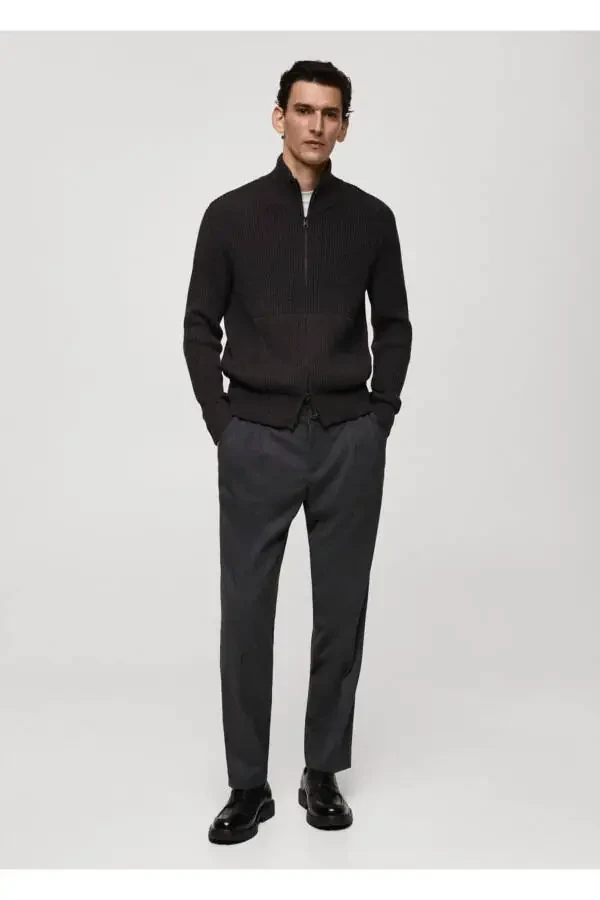 Regular Fit Pleated Drawstring Pants - 2