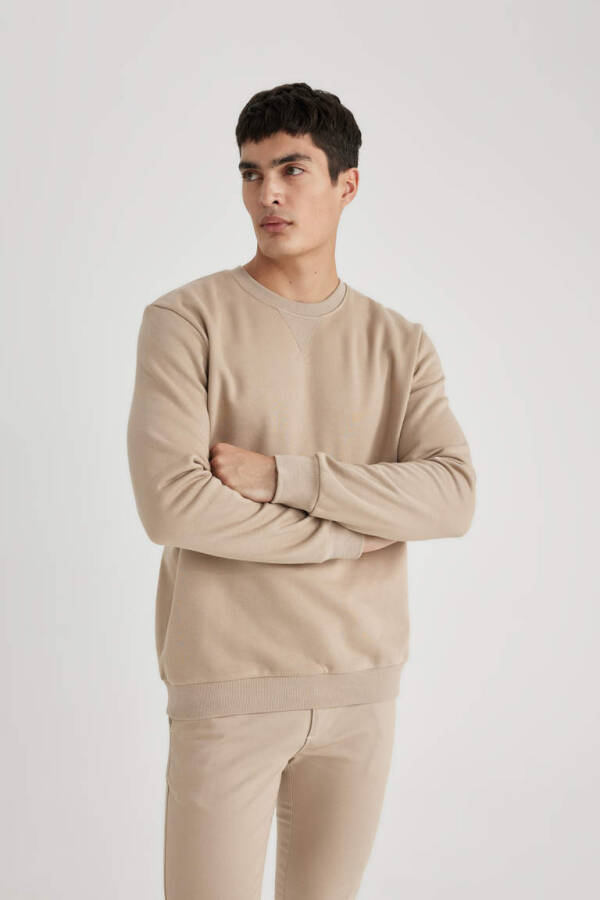 Regular Fit Sweatshirt Beige - 3