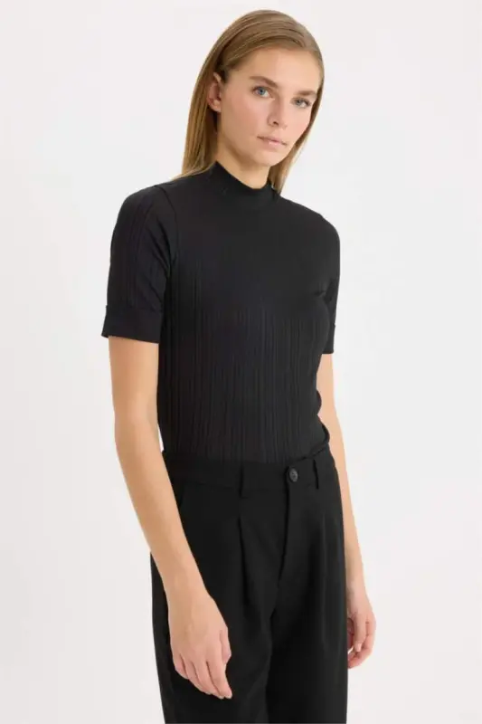 Regular Fit Yarım Balıkçı Yaka Basic Düz Fitilli Kaşkorse Kısa Kollu Siyah Tişört-Siyah - DEFACTO