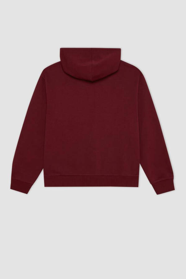 Relax Fit Hooded Zip-Up Sweatshirt Burgundy - 3