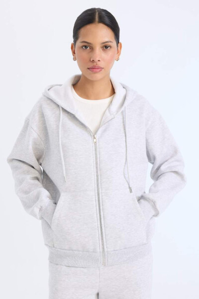 Relax Fit Hooded Zip-Up Sweatshirt Grey Melange - 1