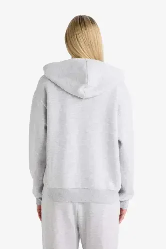Relax Fit Hooded Zip-Up Sweatshirt Grey Melange - 7