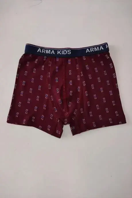 Renkli Erkek Çocuk Desenli Boxer 3'lü Paket Pamuklu Likralı - 4